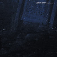 Linnea Quigley Horror GIF by Arrow Video