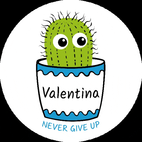 StiftungValentina cactus kaktus stiftung valentina stiftungvalentina GIF