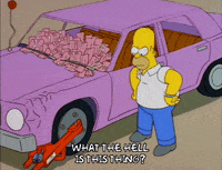 homer simpson tickets GIF