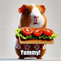 Friday Sandwich GIF by Guinea Gambino