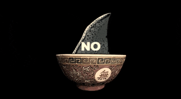 Shark Fin Soup GIF by We Are Water Films