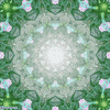 circle mandala GIF by Psyklon