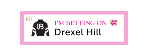 Horse Racing Sticker by Kentucky Derby