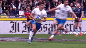 6 nations clapping GIF by Guinness Six Nations