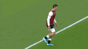 World Rugby Dance GIF by Rugby World Cup