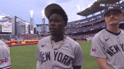 New York Yankees Sport GIF by MLB