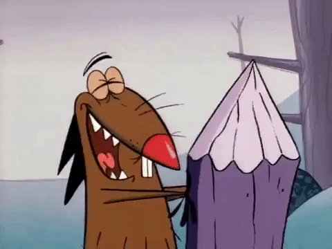 nickrewind giphydvr nicksplat angry beavers giphyab002 GIF