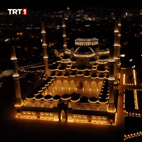 Night Lights GIF by TRT