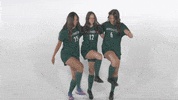 Huntington University GIF by FDN Sports