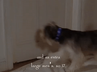 season 6 netflix GIF by Gilmore Girls 