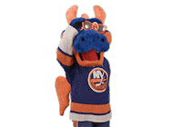 Ice Hockey Sport Sticker by NHL