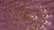 Drunk Wine GIF by Sophia Scott