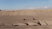 Ride GIF by Harley-Davidson