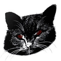 Stephenking Sticker by Proszynski