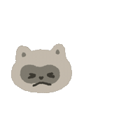 Lucy Raccoon Sticker
