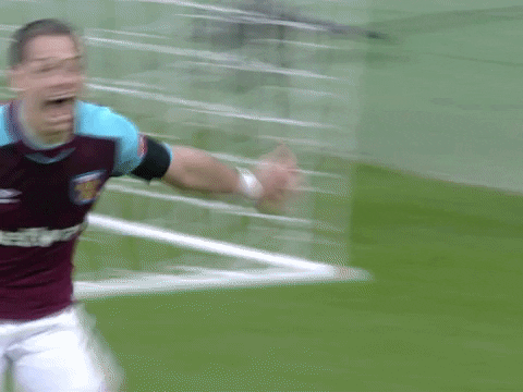 premier league epl GIF by West Ham United