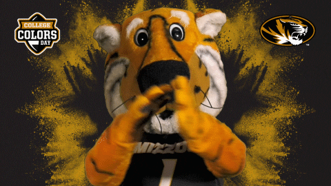 Happy College Sports GIF by College Colors Day