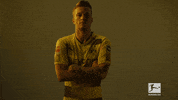 proud borussia dortmund GIF by Bundesliga