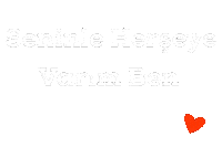 Birev Aşk Sticker