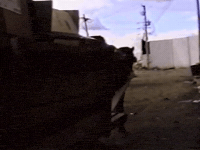 Vintage Vhs GIF by jorgemariozuleta