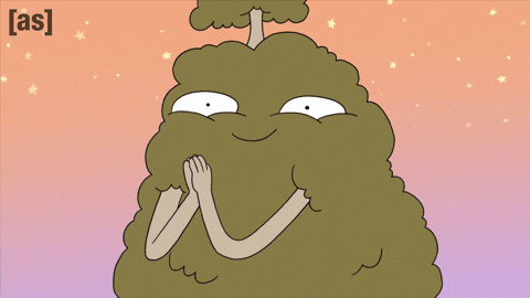 Australia Yolo GIF by Adult Swim