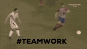 paokfamily GIF by PAOK FC