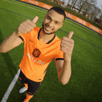 Ing Gakpo GIF by INGNederland