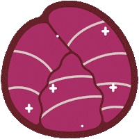 Red Cabbage Food Sticker by FarmBot