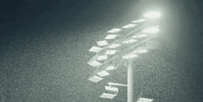BlueHens baseball beautiful bluehens rainfall GIF