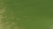 Stop Motion Loop GIF