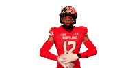 College Football Sticker by Maryland Terrapins