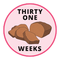 Pregnancy Baby Size Sticker by Bump Boxes