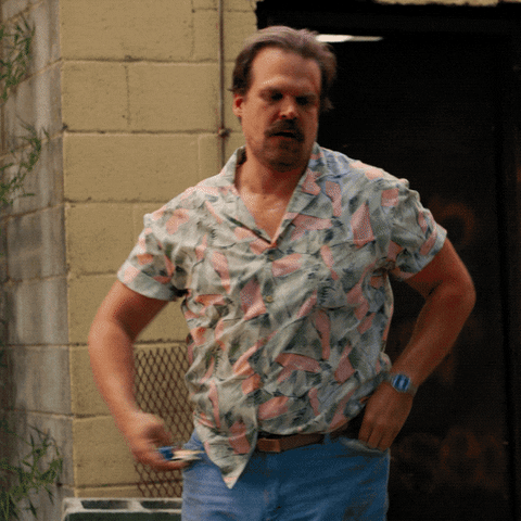 strangerthings3 GIF by Netflix España