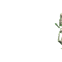Sarieeeel run skull skeleton greenscreen Sticker