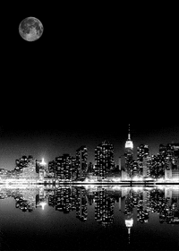 new york moon GIF by Head Like an Orange