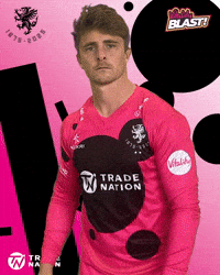 Ball Bat GIF by Somerset County Cricket Club