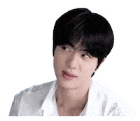 Jin Sticker