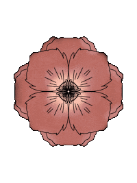 Originallyurban flowers spring plant grow Sticker