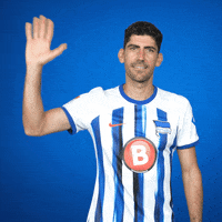 Bye Bye Hello GIF by Hertha BSC
