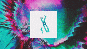 visuals GIF by Lion Beach