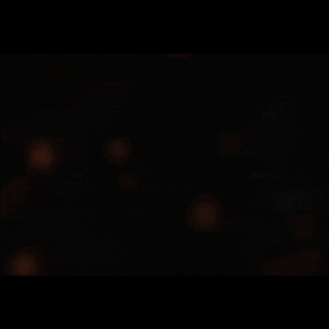 Vikings Tbs GIF by THE BEARD STRUGGLE