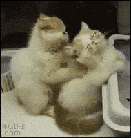 massage GIF