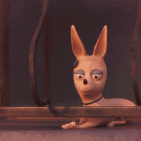 Funny Face Reaction GIF by ENSI