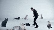 New Music Art GIF by Andrew Bird