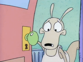 rockos modern life nicksplat GIF