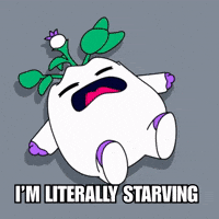 Hungry Feed Me GIF by Magic Eden