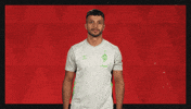 Werder Bremen What GIF by Bundesliga