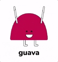 candy vegan GIF by Nomba Candies