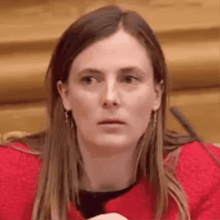 Katrinerobsoe GIF by Radikale Venstre