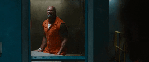 Fast And Furious GIF by The Fast Saga